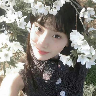 警探维斯廷第四季